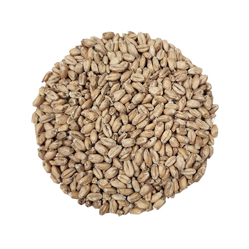 Wheat Blanc | Helsäck | 25 kg